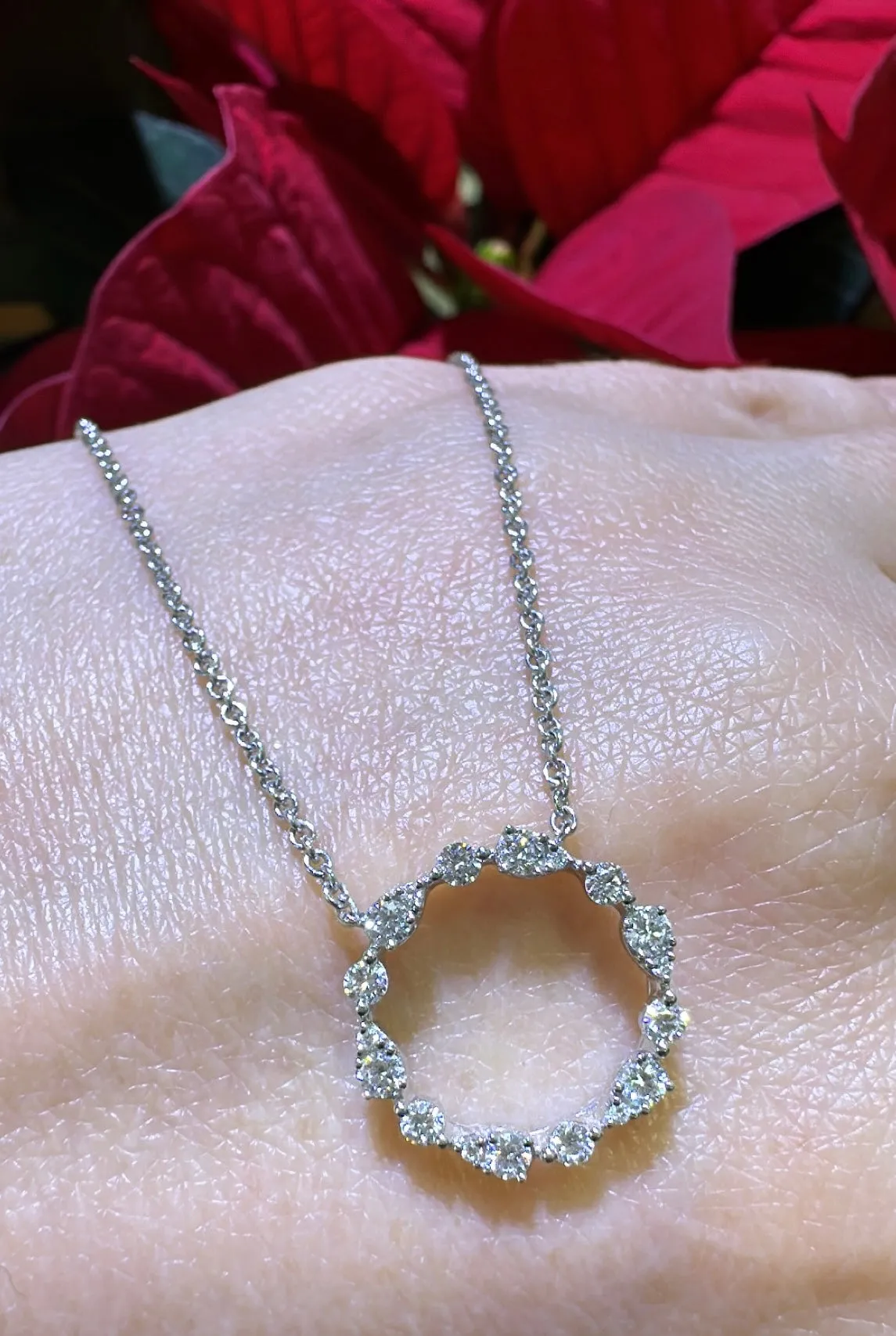 0.35ct tw Diamond Circle of Life Pendant Necklace