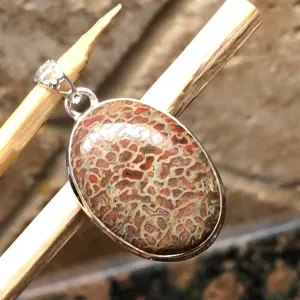 Agatized Colorado Dinosaur Bone 925 Solid Sterling Silver Pendant 40mm