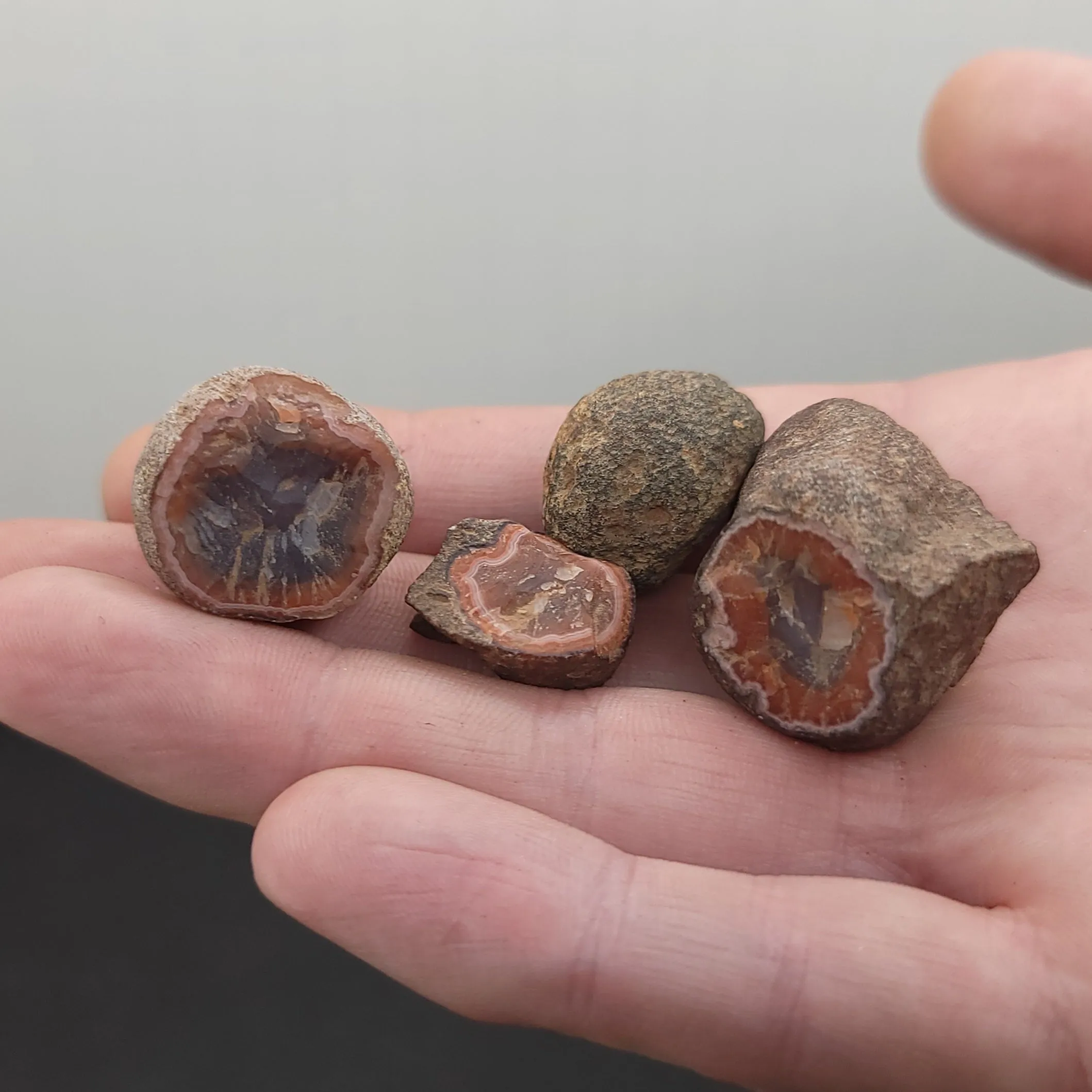Coyameto Agate lot