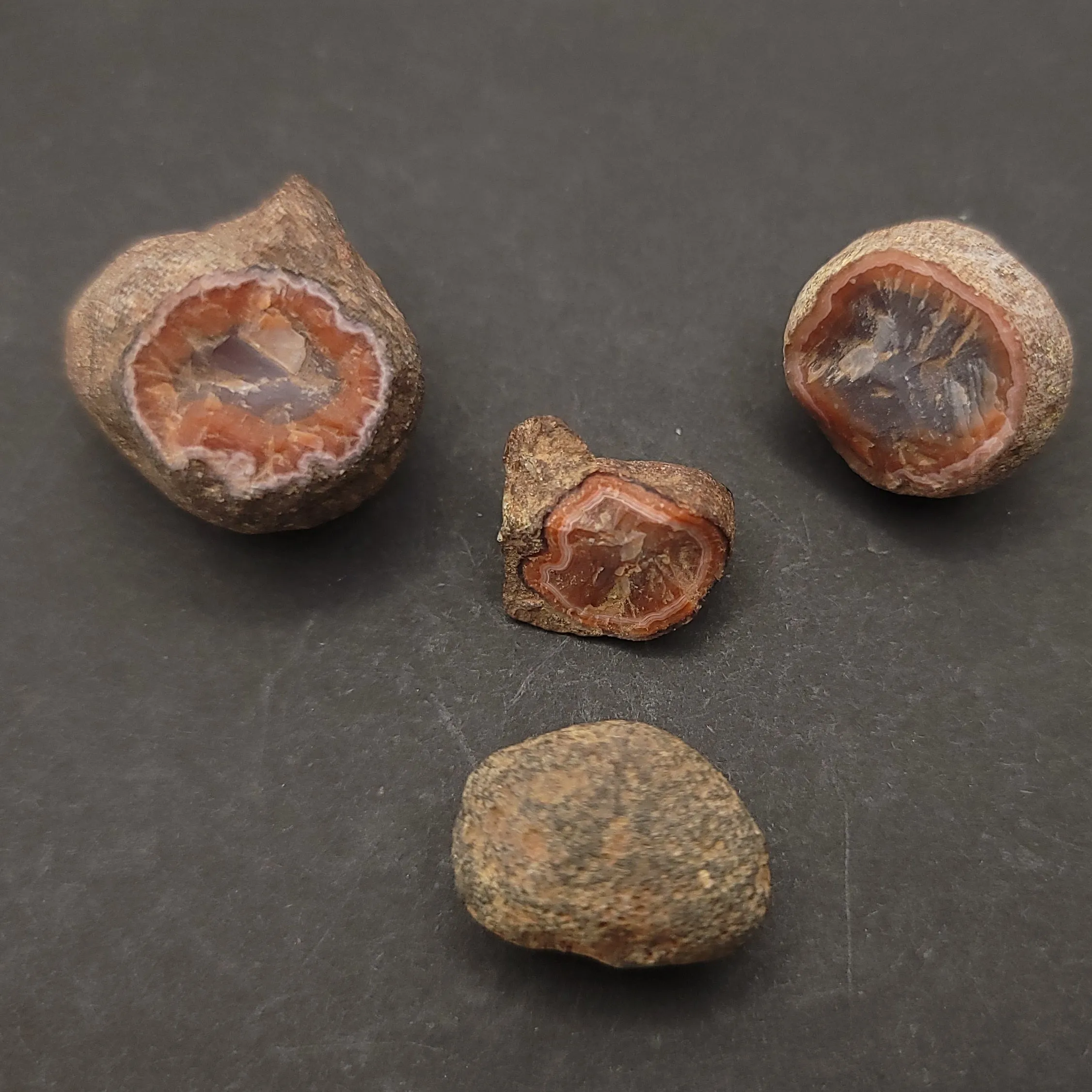 Coyameto Agate lot