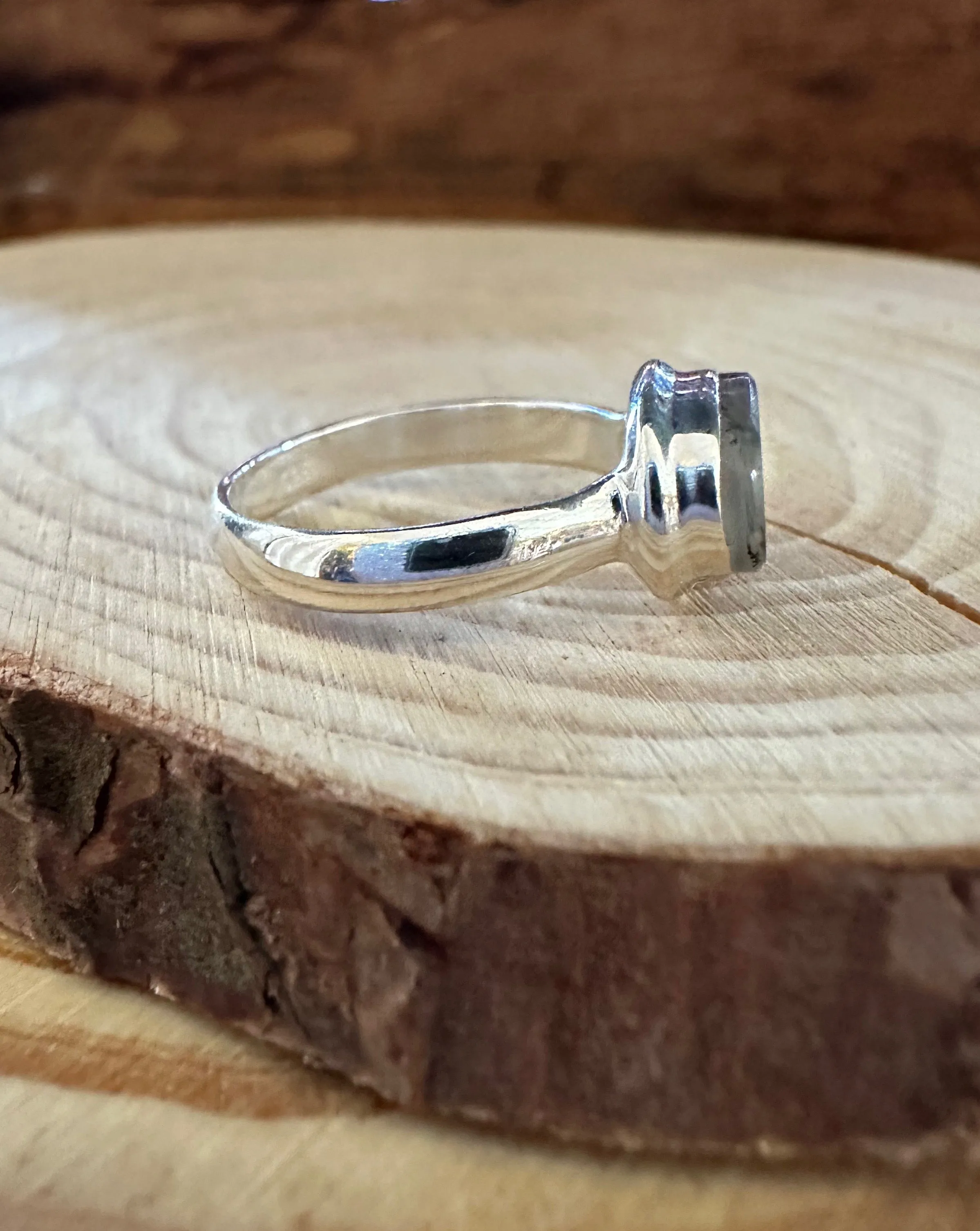 DENDRITIC AGATE and Silver Ring • Size 6