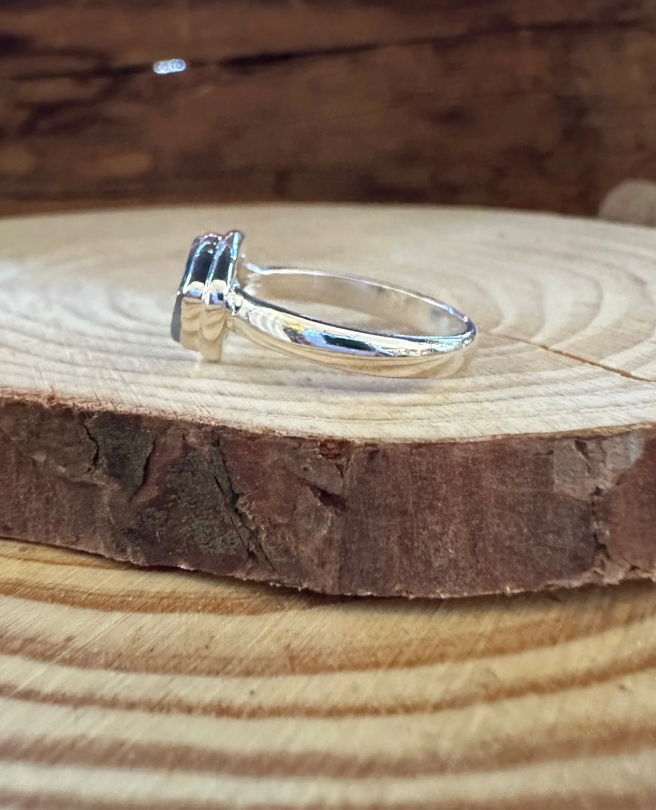 DENDRITIC AGATE and Silver Ring • Size 7