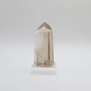 Extra Grade Citrine (IV)