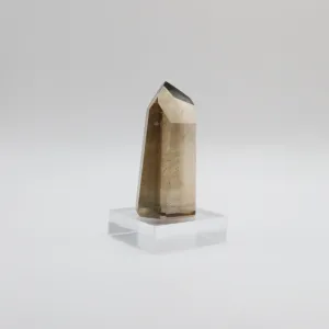 Extra Grade Citrine (IX)