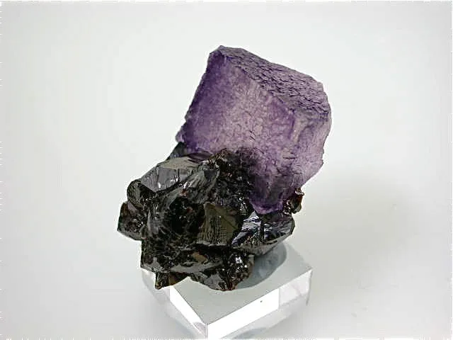 Fluorite and Sphalerite, Elmwood Complex, Carthage, Smith County, Tennessee, Mined c. 1991, Kalaskie Collection #42-209, Miniature 3.0 x 4.0 x 4.0 cm, $75.  Online 11/10