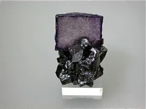 Fluorite and Sphalerite, Elmwood Complex, Carthage, Smith County, Tennessee, Mined c. 1991, Kalaskie Collection #42-209, Miniature 3.0 x 4.0 x 4.0 cm, $75.  Online 11/10