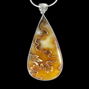 Genuine Ammonite Pendant