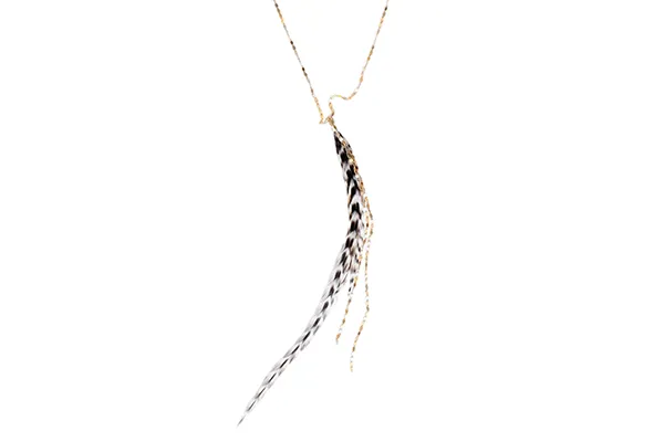 Glistening Feather Necklace - Gold/Stripe