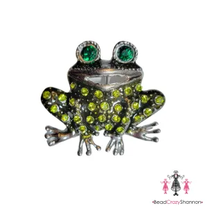 Prince Charming Frog Pin & Necklace