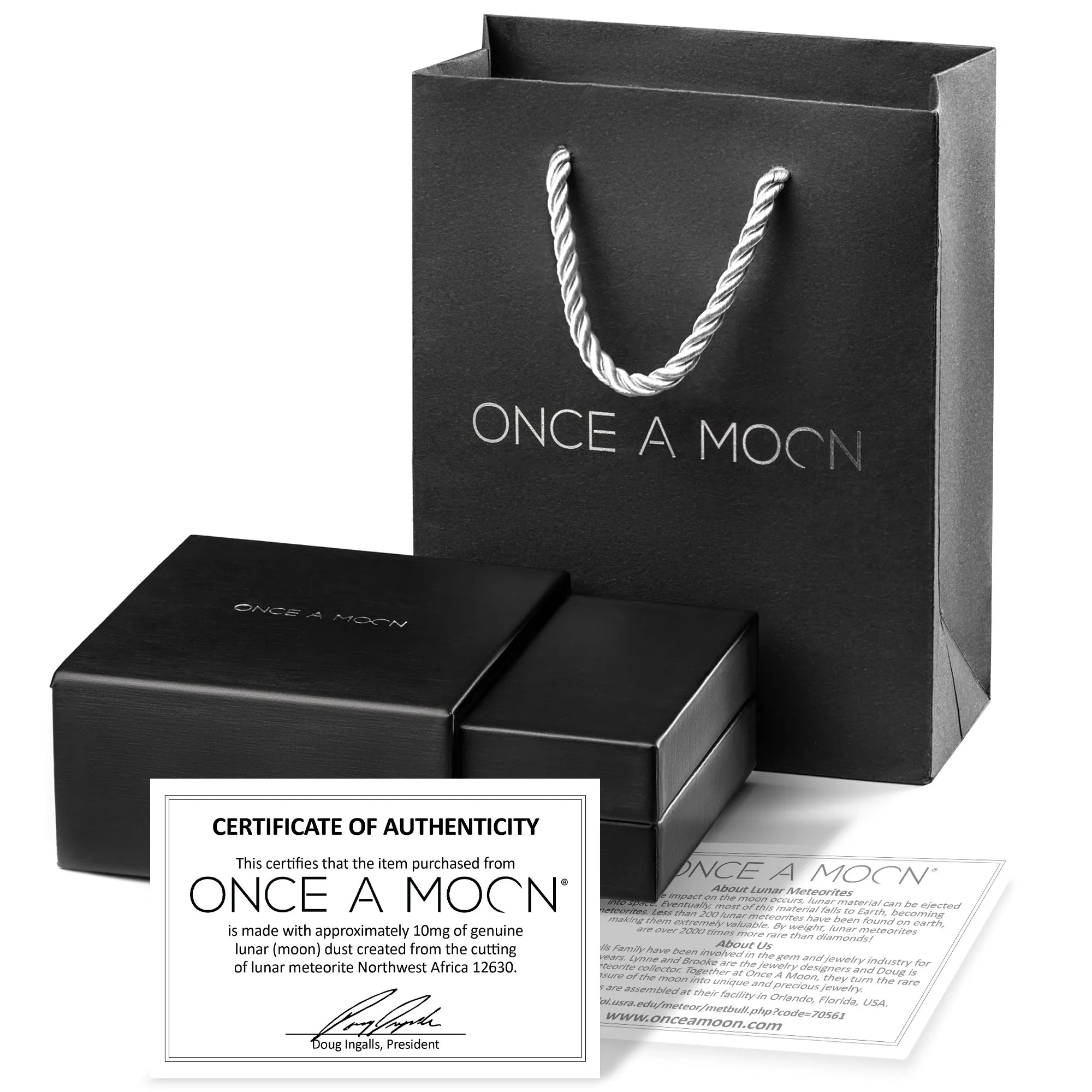 Sterling Silver Swaying Crescent Necklace Made With Moon Meteorite
