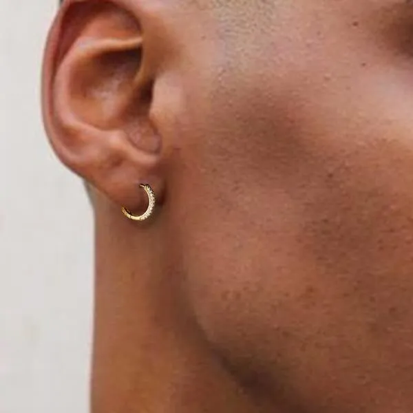The Wealth Circle® - 925 Sterling Silver Iced Out Diamond Hoop Earrings in 14K Gold